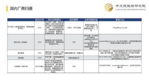 完片担保——生国外为监管、生国内为投资